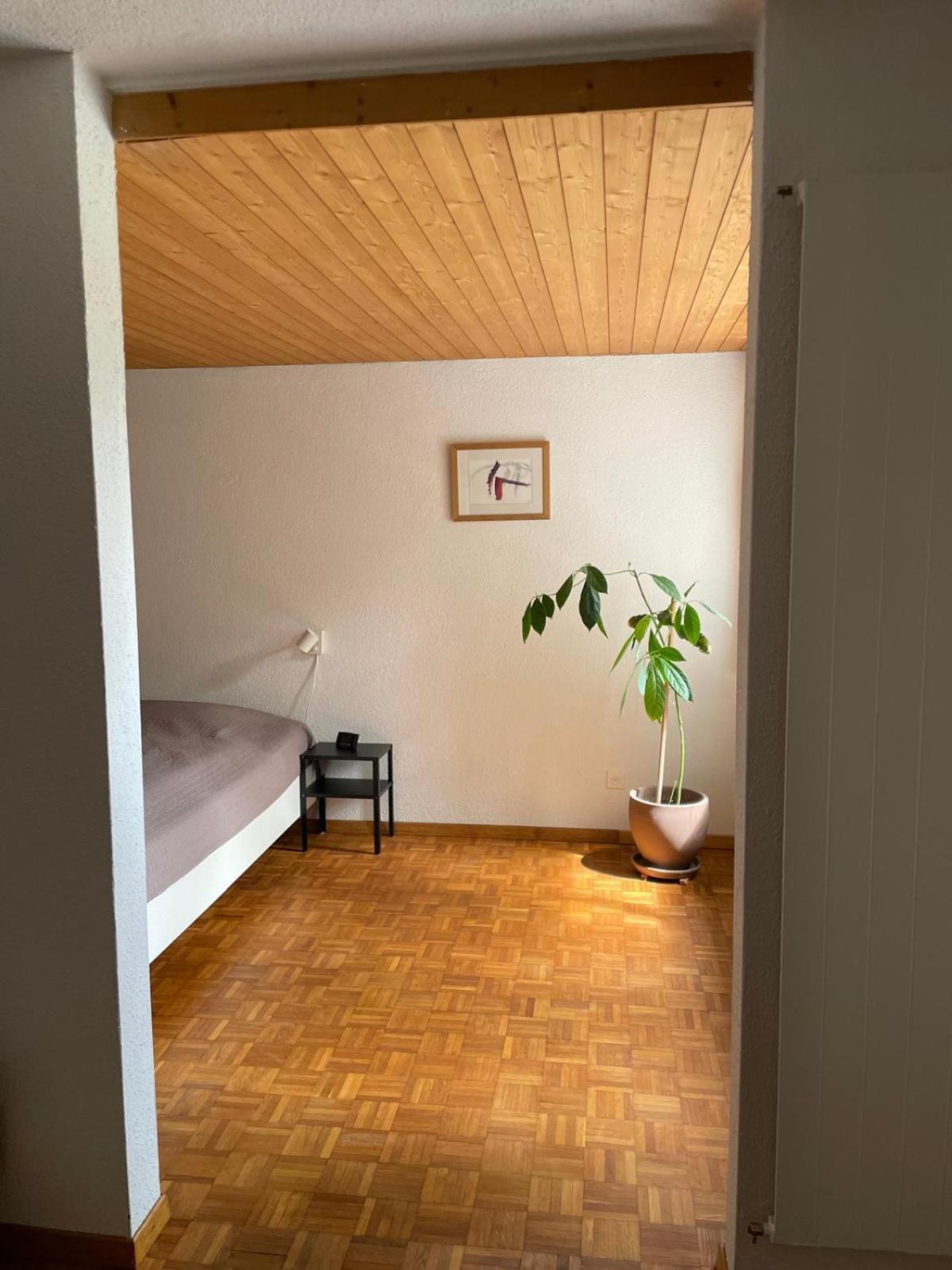 2.5 Zimmerwohnung, Pinut Trin Esterno foto